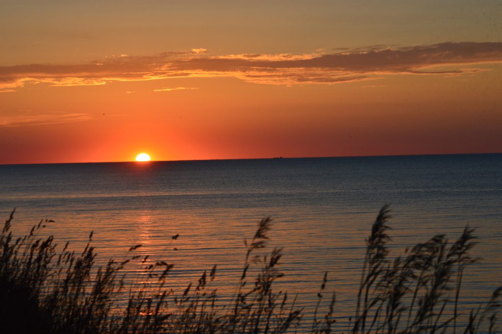 sunset over the lake with sun setting into the water and tall grass in front