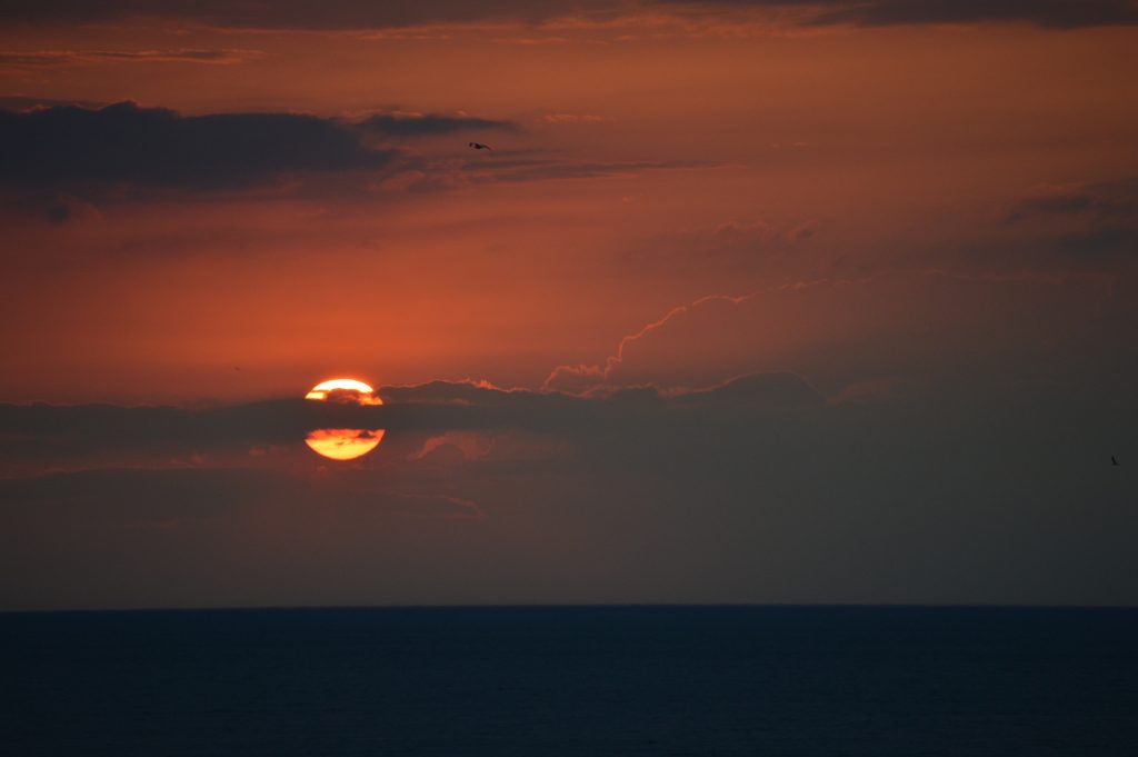 sunset over Lake Erie at Golden Hill State Park with clouds covering the sun and a bird flying in the sky