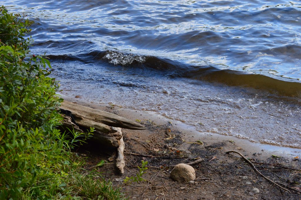 sandy lake beach at with waves coming in