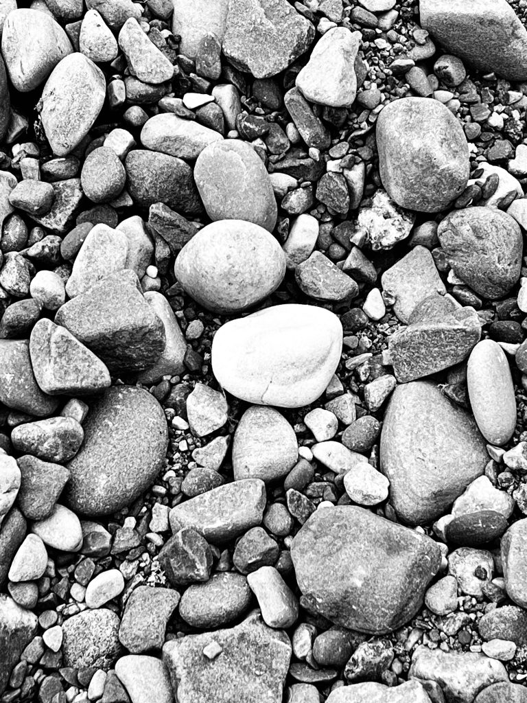 black and white close up of rocks on the beach