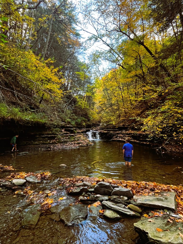 two boys walking in a creek with trees around