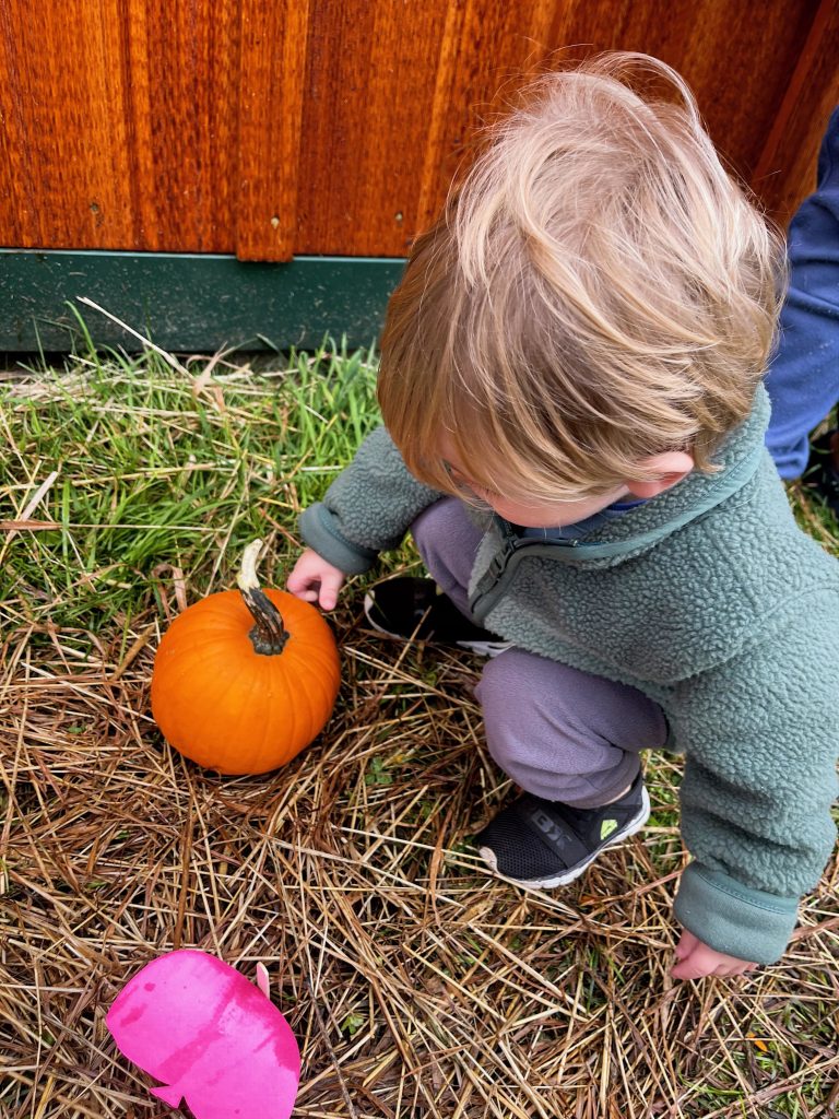Little boy crouched down to pick up a pumpkin