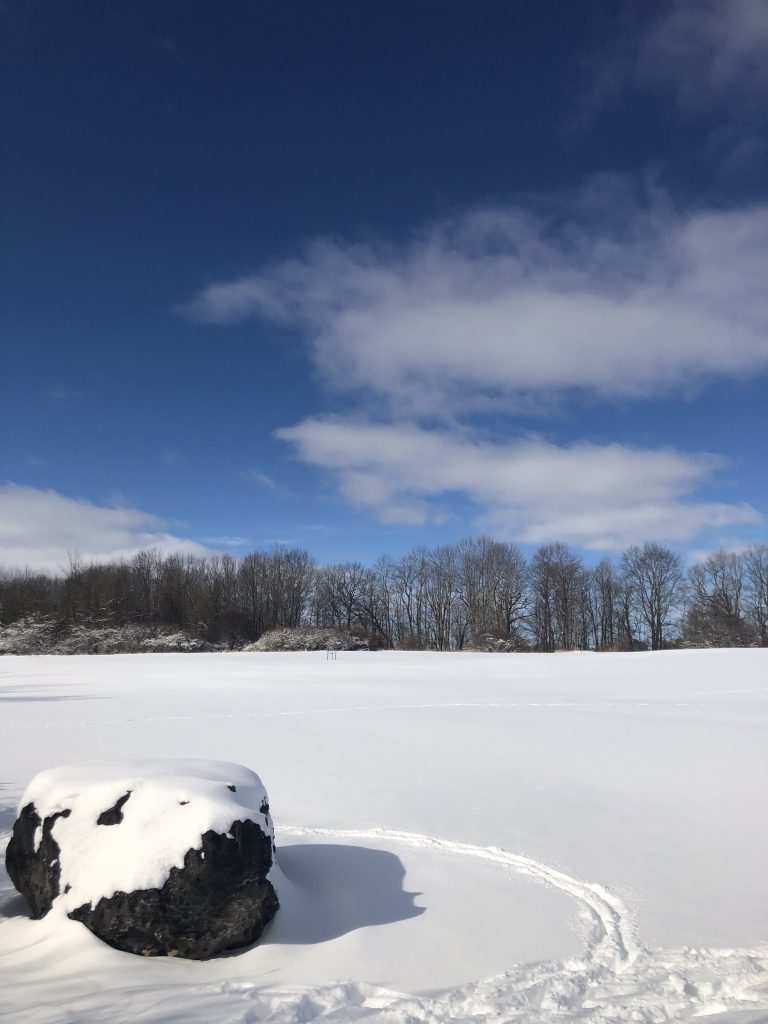 sunny day in a snow covered field with tree line and rocks